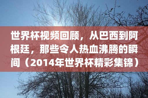 世界杯视频回顾，从巴西到阿根廷，那些令人热血沸腾的瞬间（2014年世界杯精彩集锦）