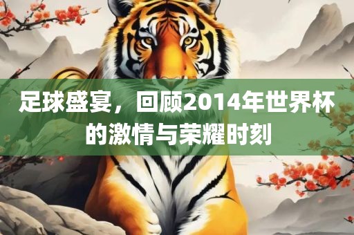 足球盛宴，回顾2014年世界杯的激情与荣耀时刻