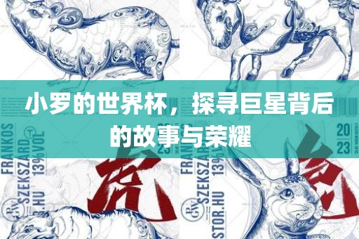 小罗的世界杯，探寻巨星背后的故事与荣耀