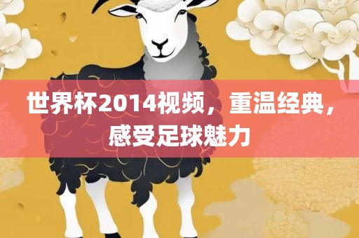 世界杯2014视频，重温经典，感受足球魅力