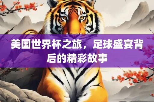 美国世界杯之旅，足球盛宴背后的精彩故事