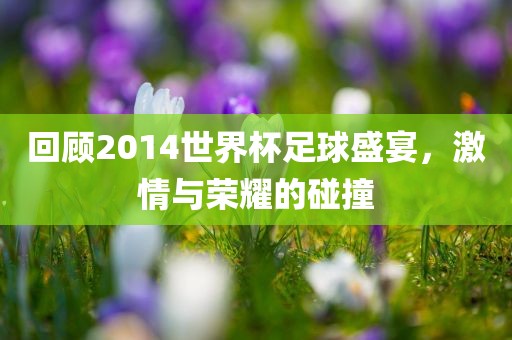 回顾2014世界杯足球盛宴，激情与荣耀的碰撞