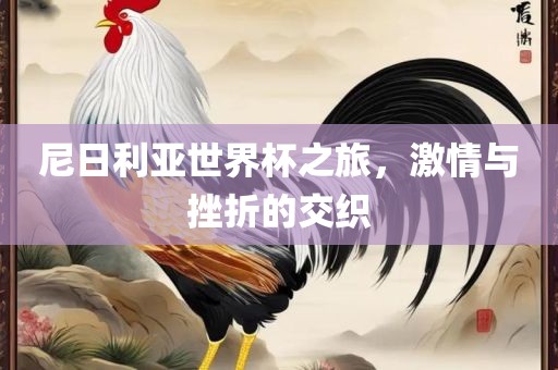尼日利亚世界杯之旅，激情与挫折的交织