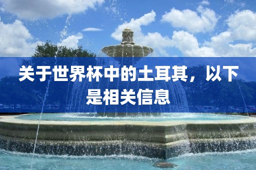 关于世界杯中的土耳其，以下是相关信息