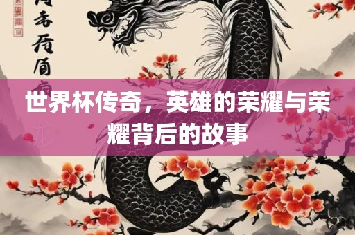 世界杯传奇，英雄的荣耀与荣耀背后的故事