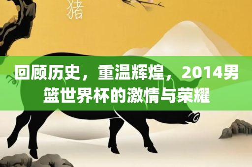 回顾历史，重温辉煌，2014男篮世界杯的激情与荣耀