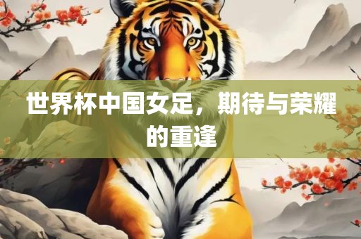 世界杯中国女足，期待与荣耀的重逢