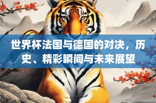 世界杯法国与德国的对决，历史、精彩瞬间与未来展望