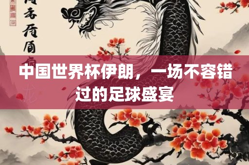 中国世界杯伊朗，一场不容错过的足球盛宴