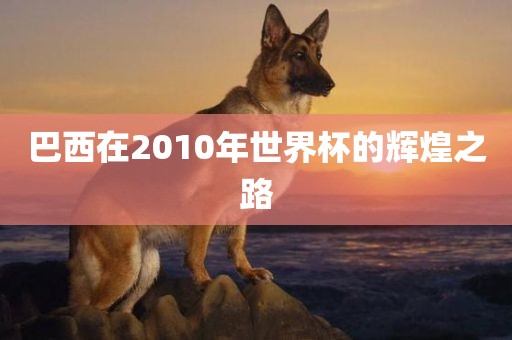 巴西在2010年世界杯的辉煌之路
