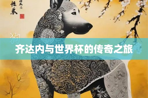 齐达内与世界杯的传奇之旅