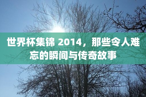 世界杯集锦 2014，那些令人难忘的瞬间与传奇故事