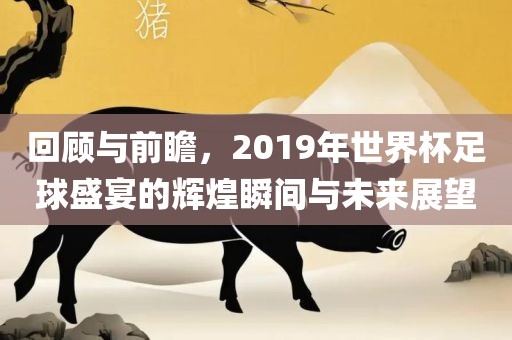 回顾与前瞻，2019年世界杯足球盛宴的辉煌瞬间与未来展望