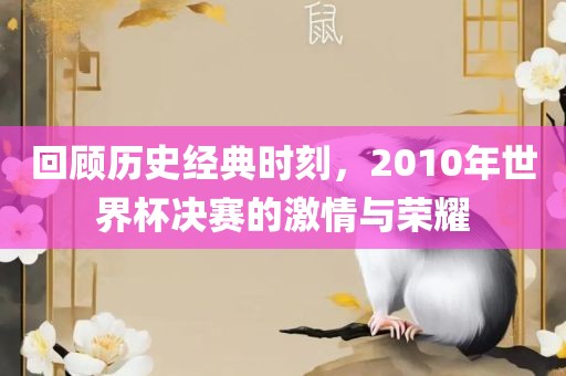 回顾历史经典时刻，2010年世界杯决赛的激情与荣耀