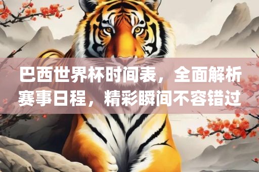 巴西世界杯时间表，全面解析赛事日程，精彩瞬间不容错过