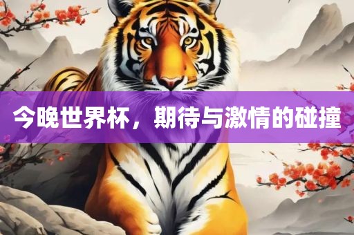 今晚世界杯，期待与激情的碰撞