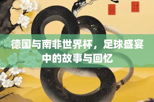 德国与南非世界杯，足球盛宴中的故事与回忆