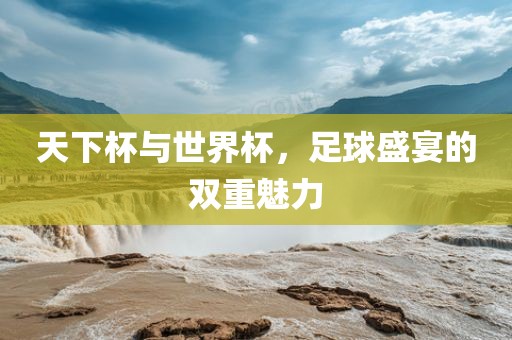 天下杯与世界杯，足球盛宴的双重魅力