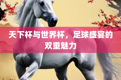 天下杯与世界杯，足球盛宴的双重魅力