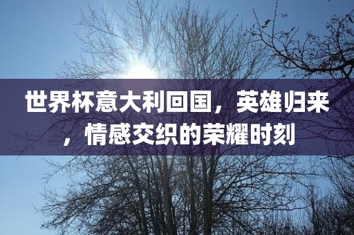 世界杯意大利回国，英雄归来，情感交织的荣耀时刻
