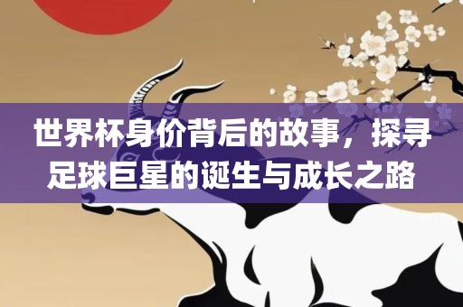 世界杯身价背后的故事，探寻足球巨星的诞生与成长之路