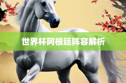 世界杯阿根廷阵容解析