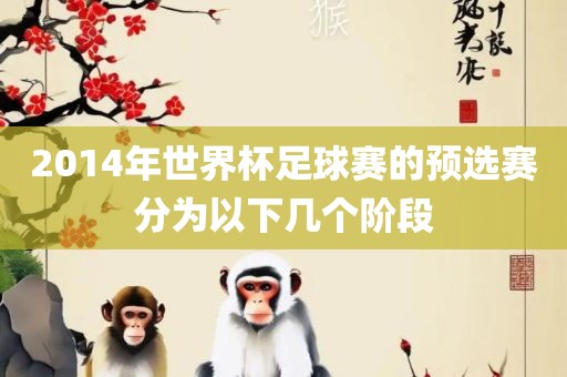 2014年世界杯足球赛的预选赛分为以下几个阶段