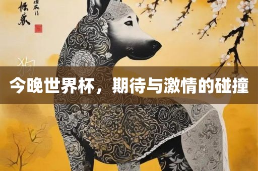 今晚世界杯，期待与激情的碰撞