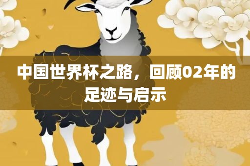 中国世界杯之路，回顾02年的足迹与启示