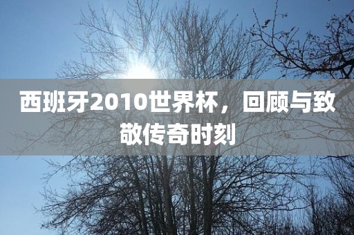 西班牙2010世界杯，回顾与致敬传奇时刻