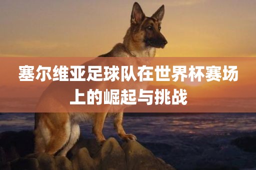 塞尔维亚足球队在世界杯赛场上的崛起与挑战