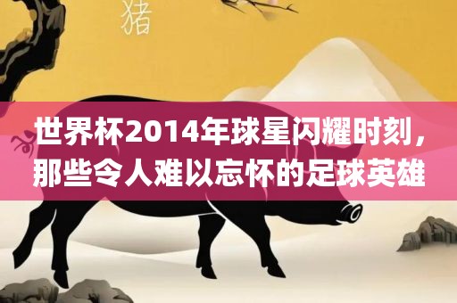 世界杯2014年球星闪耀时刻，那些令人难以忘怀的足球英雄
