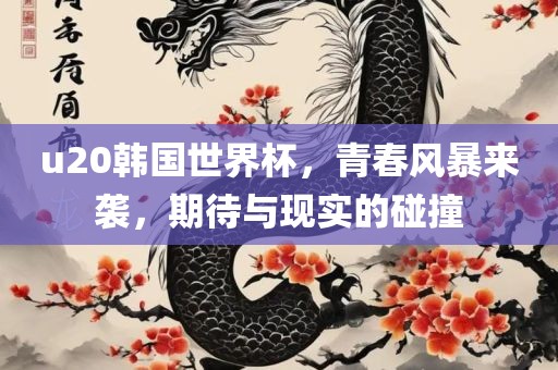 u20韩国世界杯，青春风暴来袭，期待与现实的碰撞