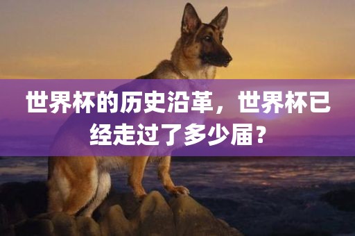 世界杯的历史沿革，世界杯已经走过了多少届？