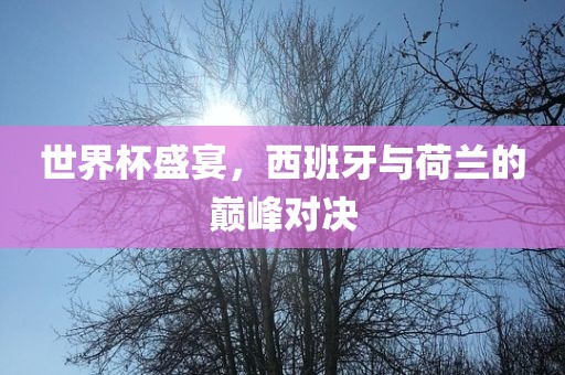 世界杯盛宴，西班牙与荷兰的巅峰对决