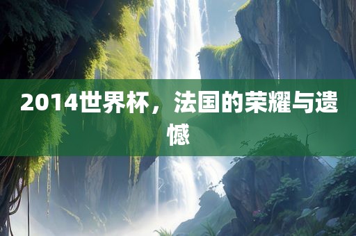 2014世界杯，法国的荣耀与遗憾
