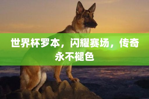 世界杯罗本，闪耀赛场，传奇永不褪色