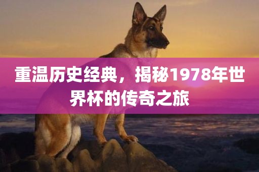 重温历史经典，揭秘1978年世界杯的传奇之旅