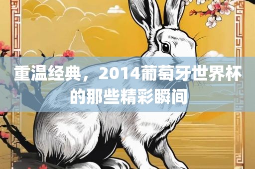 重温经典，2014葡萄牙世界杯的那些精彩瞬间