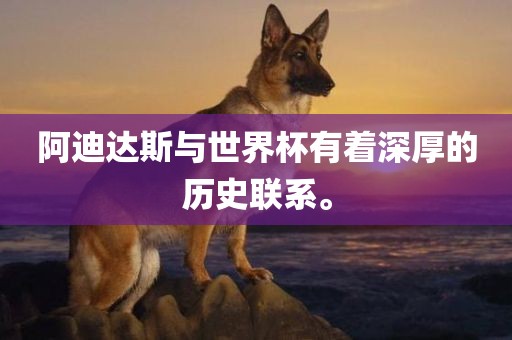 阿迪达斯与世界杯有着深厚的历史联系。
