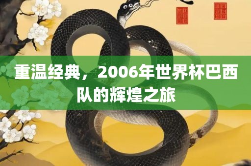 重温经典，2006年世界杯巴西队的辉煌之旅