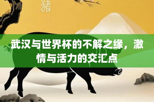 武汉与世界杯的不解之缘，激情与活力的交汇点
