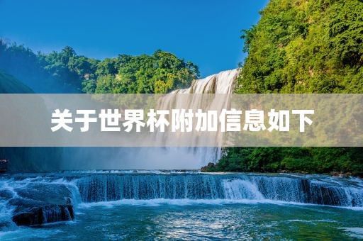 关于世界杯附加信息如下