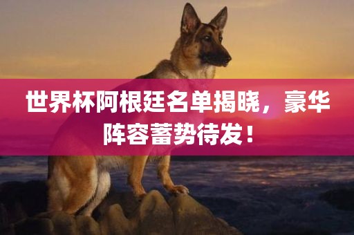 世界杯阿根廷名单揭晓，豪华阵容蓄势待发！