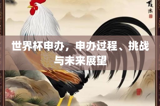 世界杯申办，申办过程、挑战与未来展望