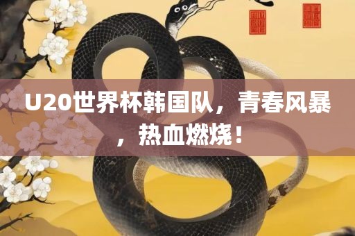 U20世界杯韩国队，青春风暴，热血燃烧！