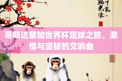 哥斯达黎加世界杯足球之旅，激情与坚韧的交响曲