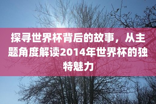 探寻世界杯背后的故事，从主题角度解读2014年世界杯的独特魅力