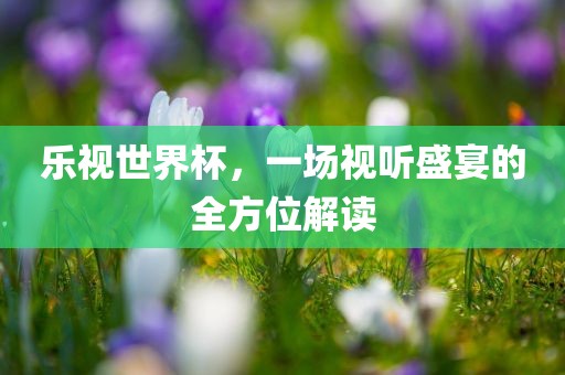乐视世界杯，一场视听盛宴的全方位解读