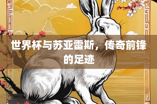 世界杯与苏亚雷斯，传奇前锋的足迹